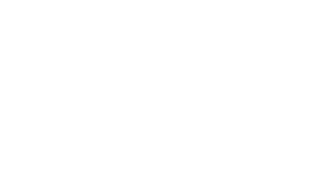 Spico Spices